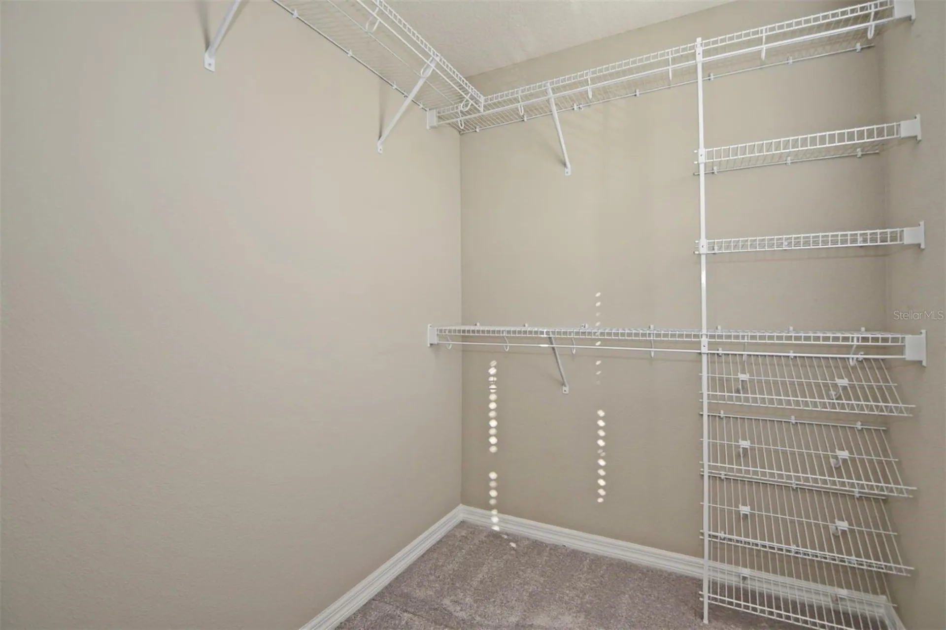 12163 Water Poppy Court Orlando FL 32828