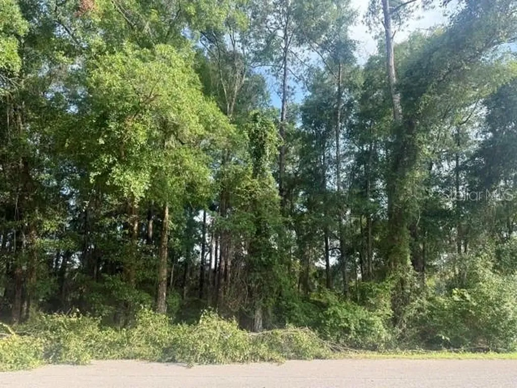 Tbd NW 47th Place Ocala FL 34482