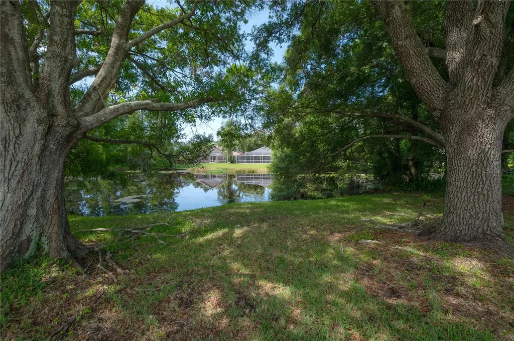 11820 Easthampton Drive Tampa FL 33626