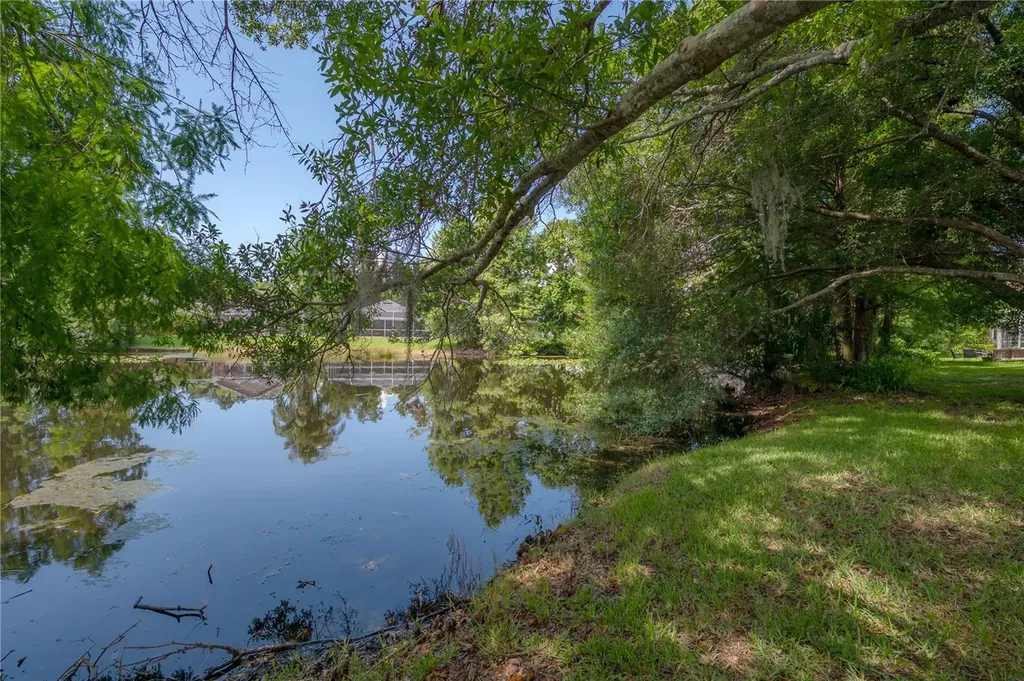 11820 Easthampton Drive Tampa FL 33626