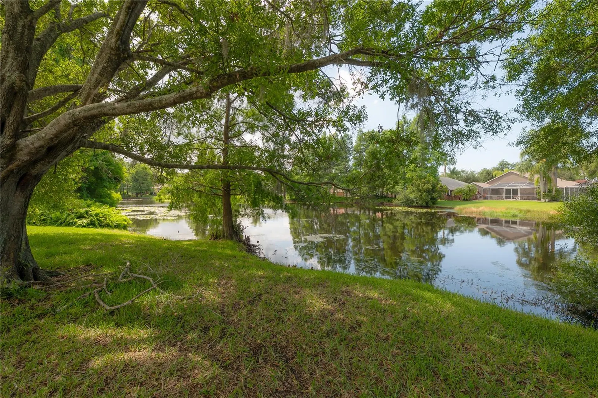 11820 Easthampton Drive Tampa FL 33626