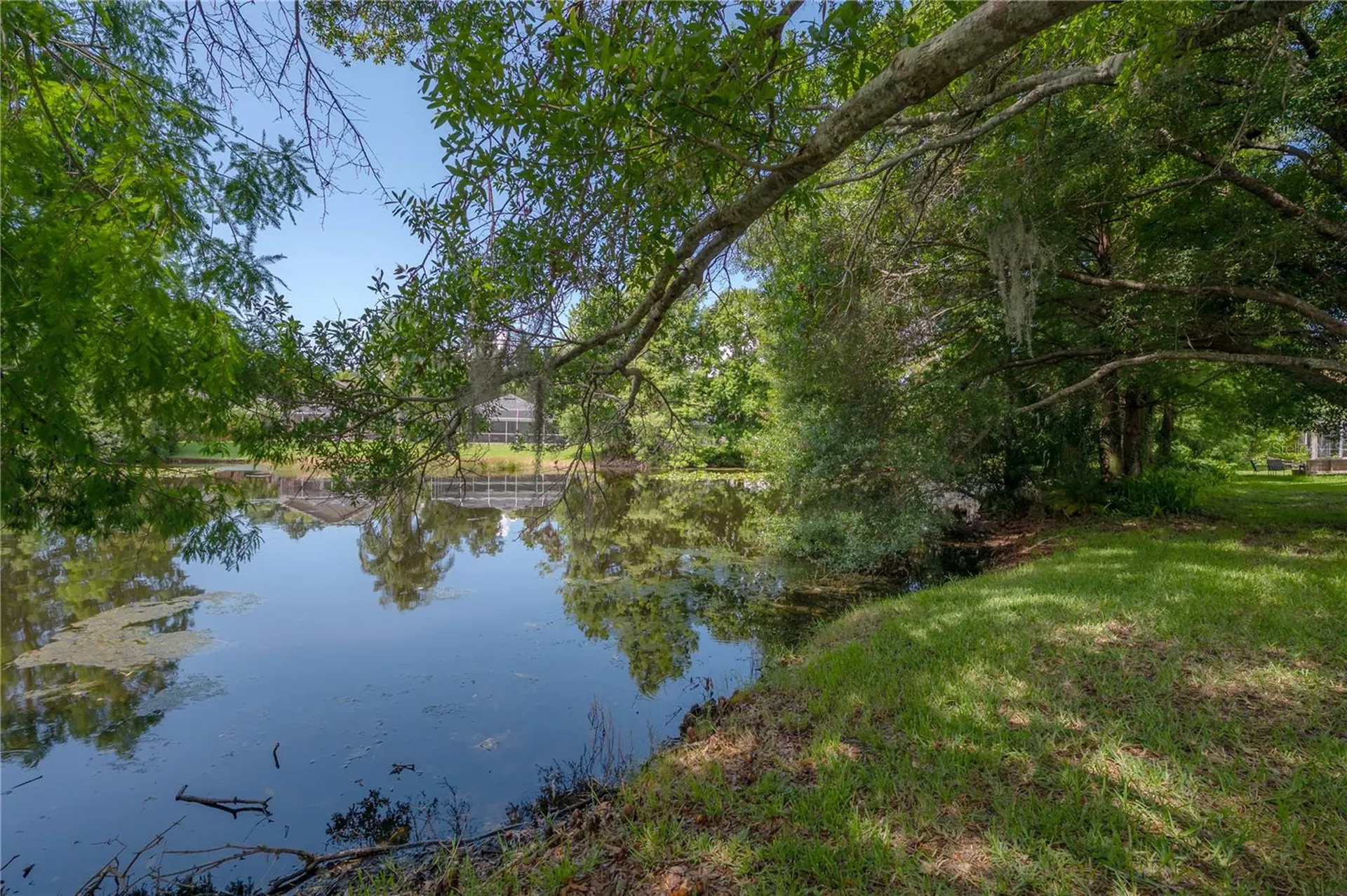 11820 Easthampton Drive Tampa FL 33626