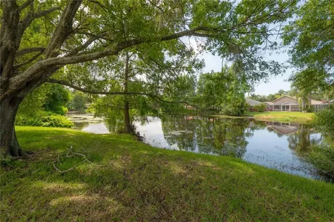 11820 Easthampton Drive Tampa FL 33626