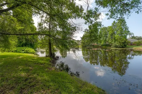 11820 Easthampton Drive Tampa FL 33626