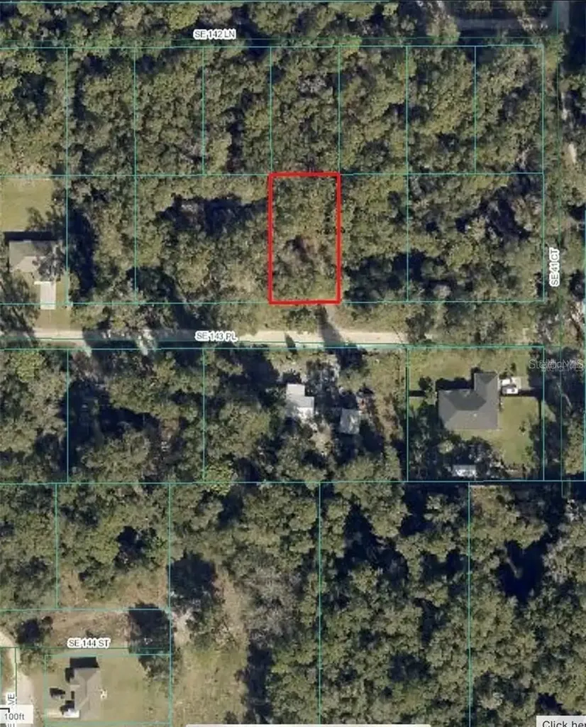 Undetermined Summerfield FL 34491