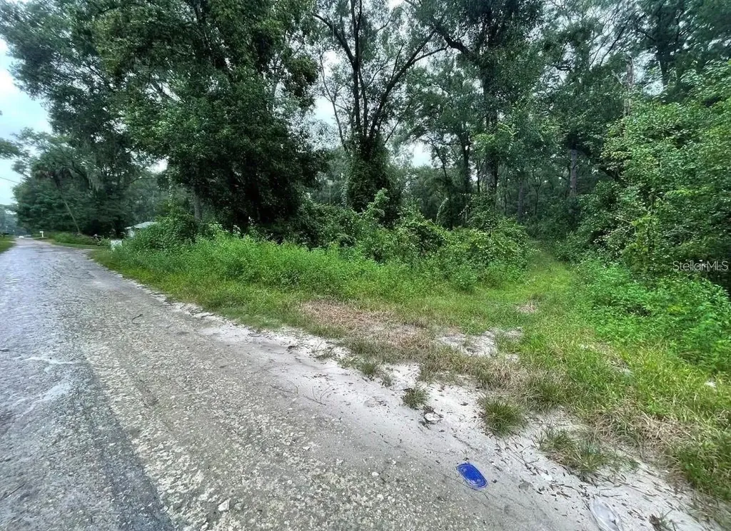Undetermined Summerfield FL 34491