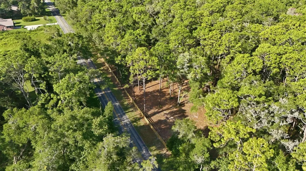 5230 S Robert Blake Avenue Inverness FL 34452
