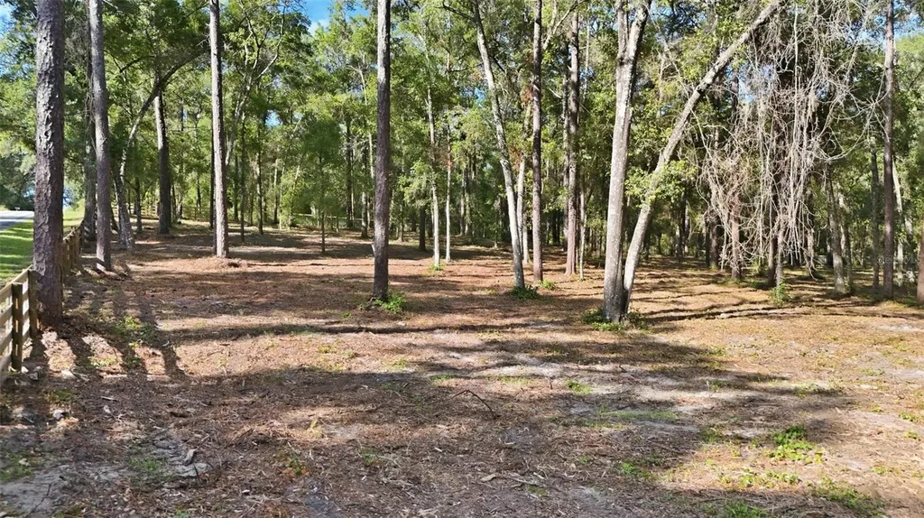 5230 S Robert Blake Avenue Inverness FL 34452