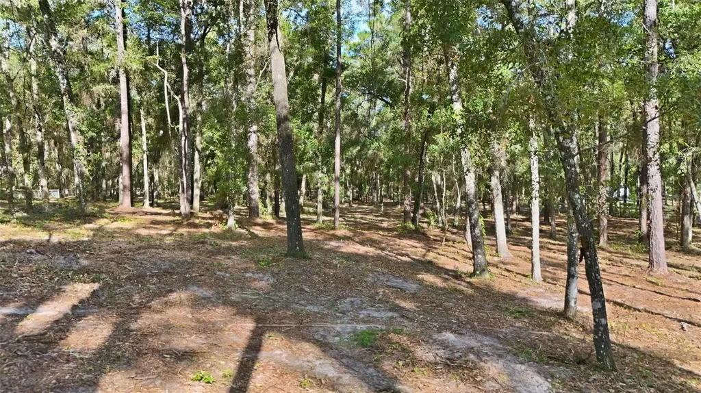 5230 S Robert Blake Avenue Inverness FL 34452