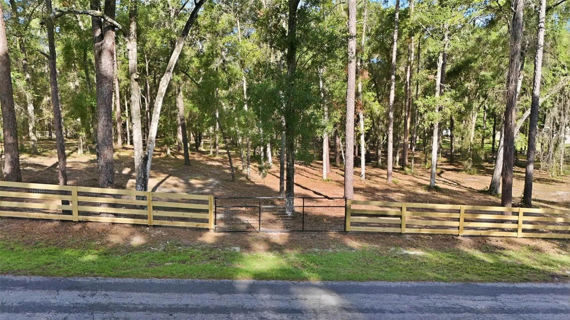 5230 S Robert Blake Avenue Inverness FL 34452