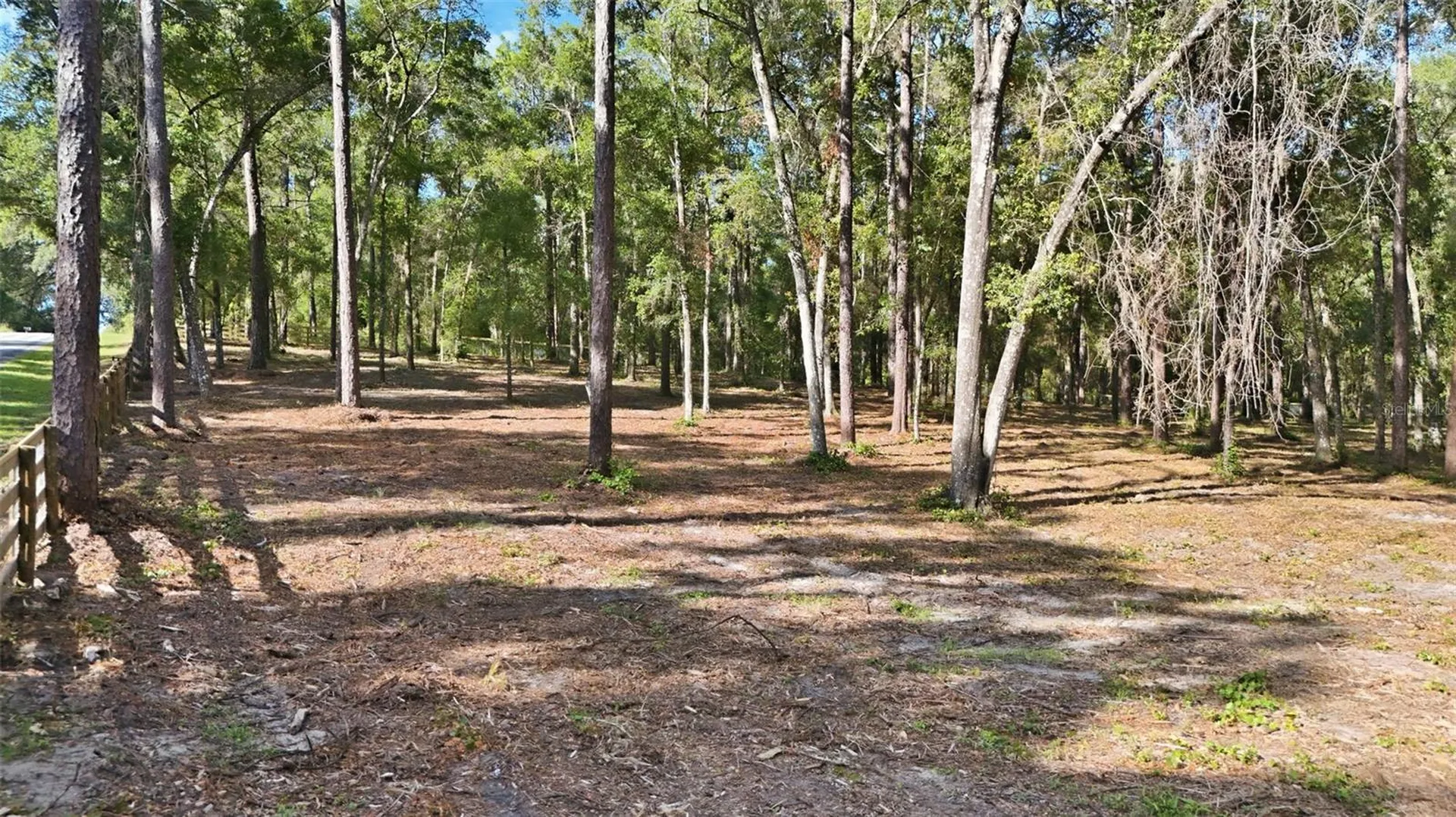 5230 S Robert Blake Avenue Inverness FL 34452