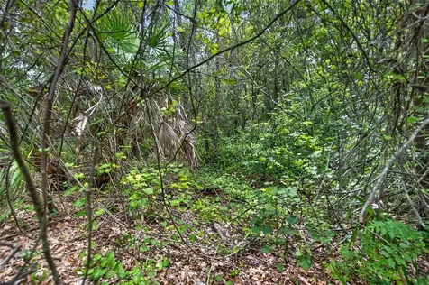 643 Elwood Street Deltona FL 32725