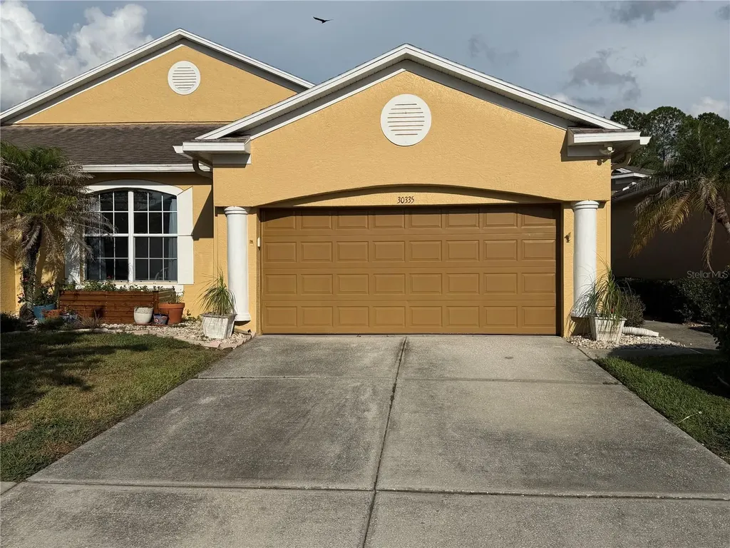 30335 Lettingwell Circle Wesley Chapel FL 33543