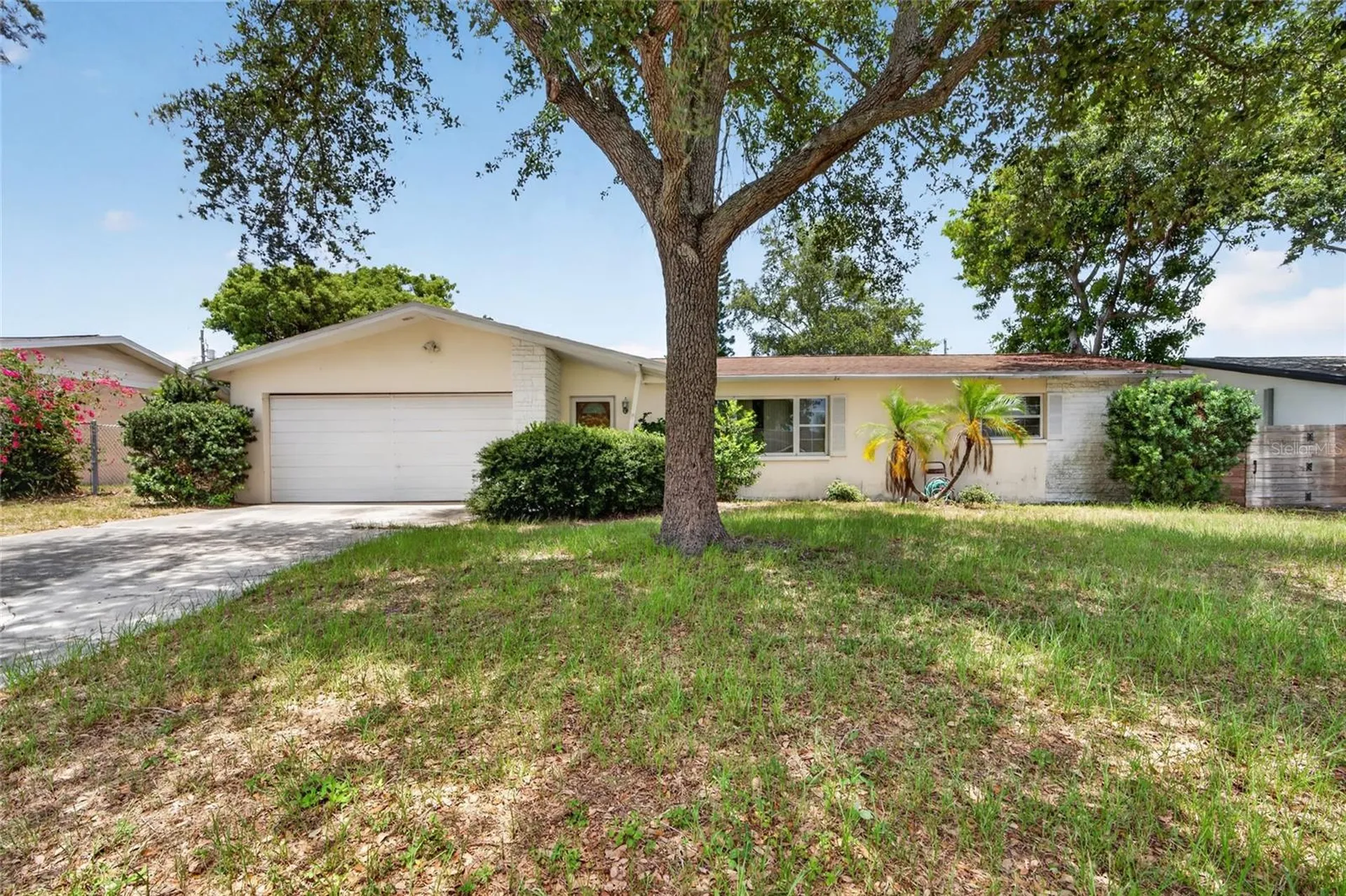 1342 Edmonton Drive Clearwater FL 33756