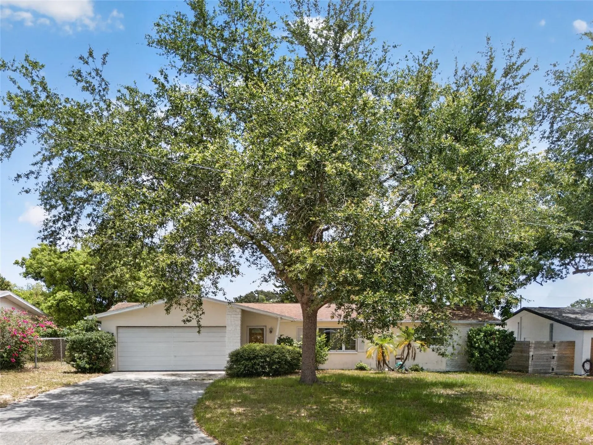 1342 Edmonton Drive Clearwater FL 33756