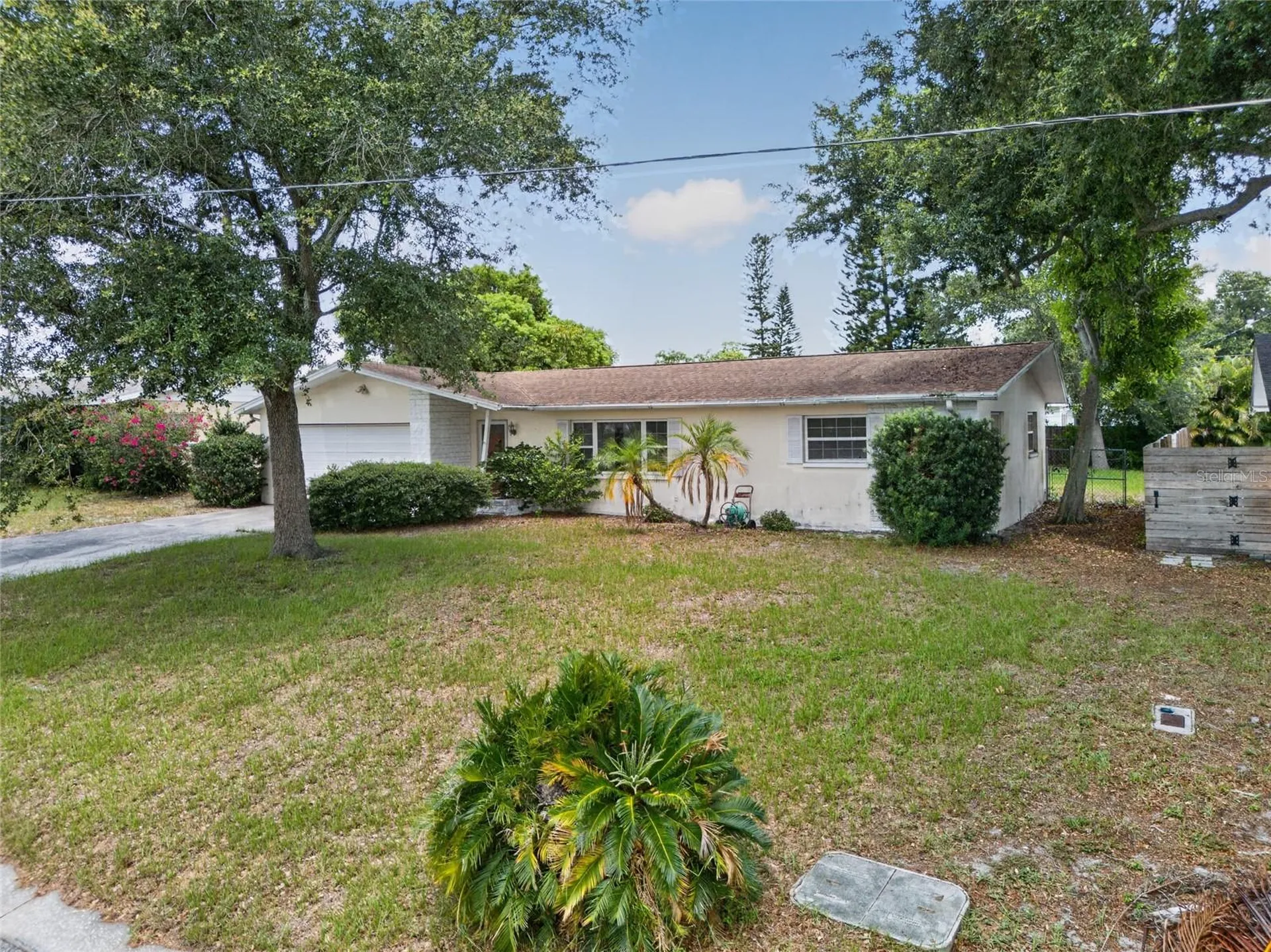 1342 Edmonton Drive Clearwater FL 33756