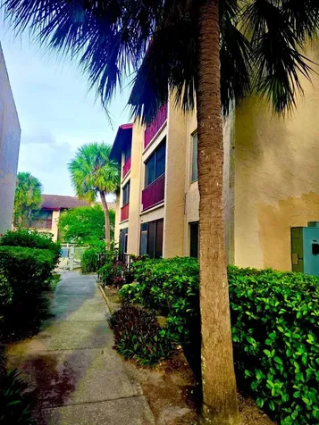 8605 Huron Court Tampa FL 33614