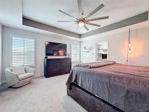 2501 Sky Stone Court Oakland FL 34787
