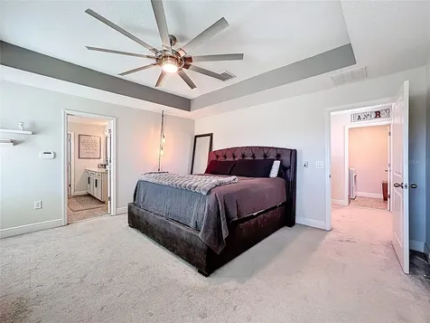 2501 Sky Stone Court Oakland FL 34787