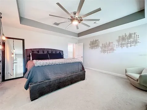 2501 Sky Stone Court Oakland FL 34787