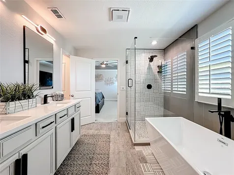2501 Sky Stone Court Oakland FL 34787