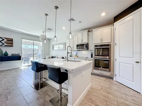 2501 Sky Stone Court Oakland FL 34787