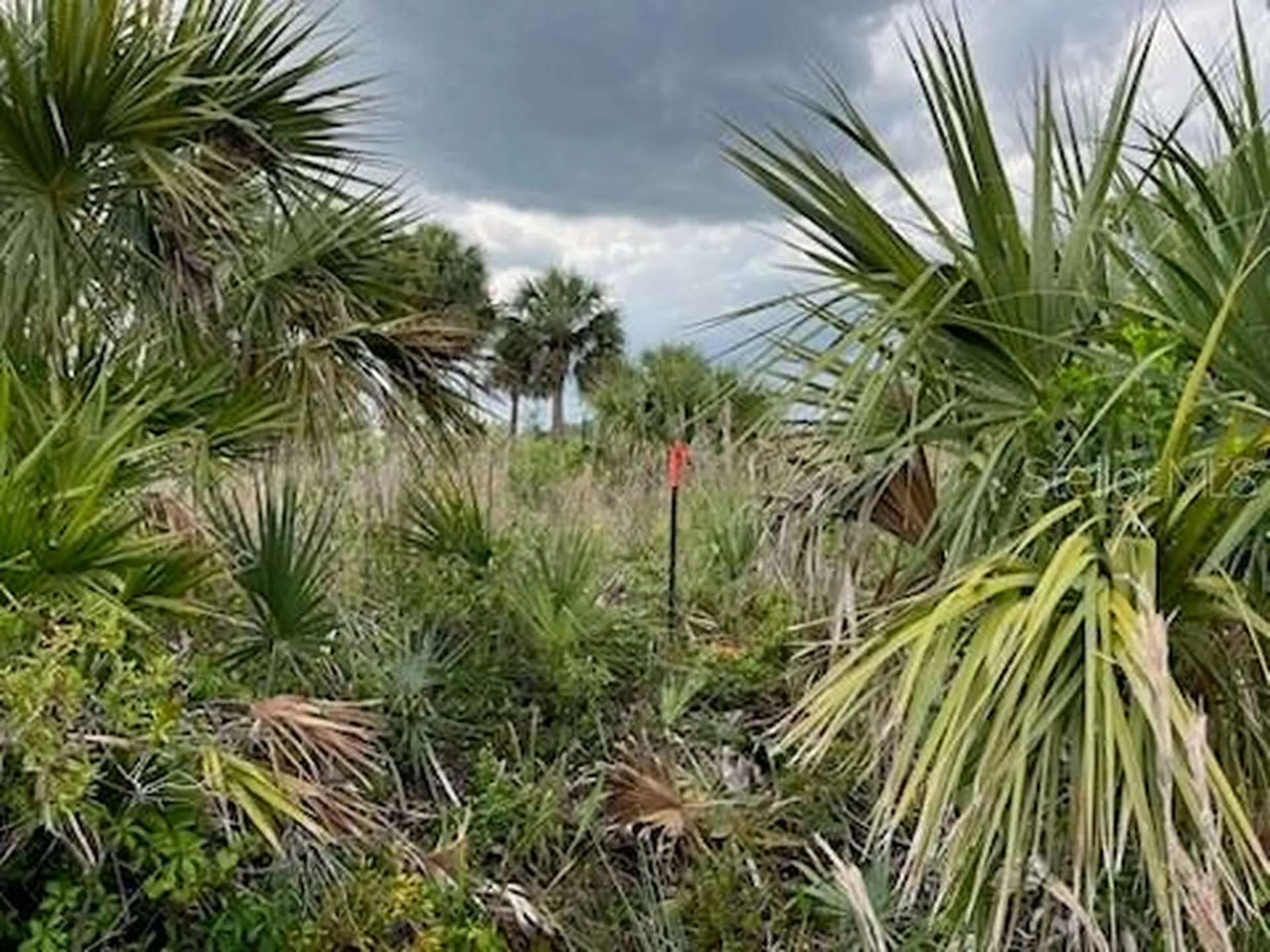 50760 Bermont Road Punta Gorda FL 33982
