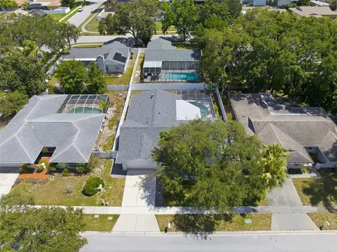 104 Nestlebranch Drive Safety Harbor FL 34695