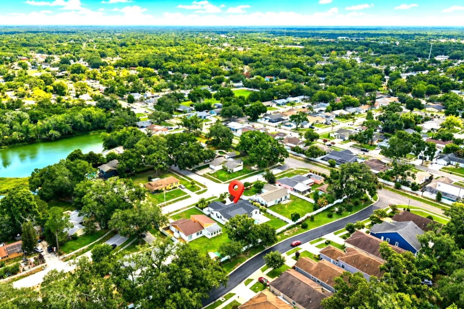906 Samy Drive Tampa FL 33613