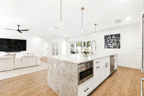 906 Samy Drive Tampa FL 33613