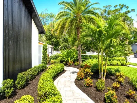 906 Samy Drive Tampa FL 33613