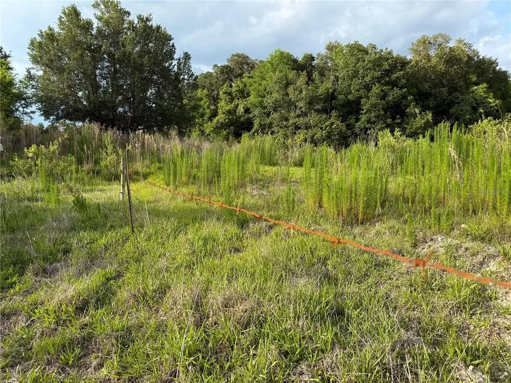 000 NW 68 Terrace Chiefland FL 32626