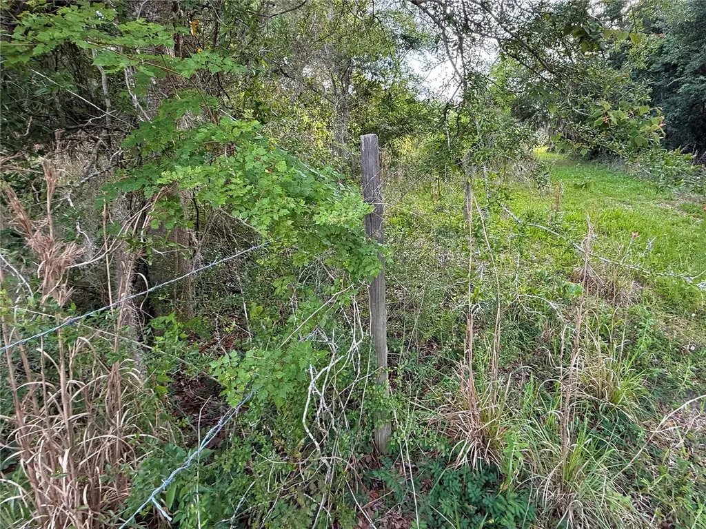 000 NW 68 Terrace Chiefland FL 32626