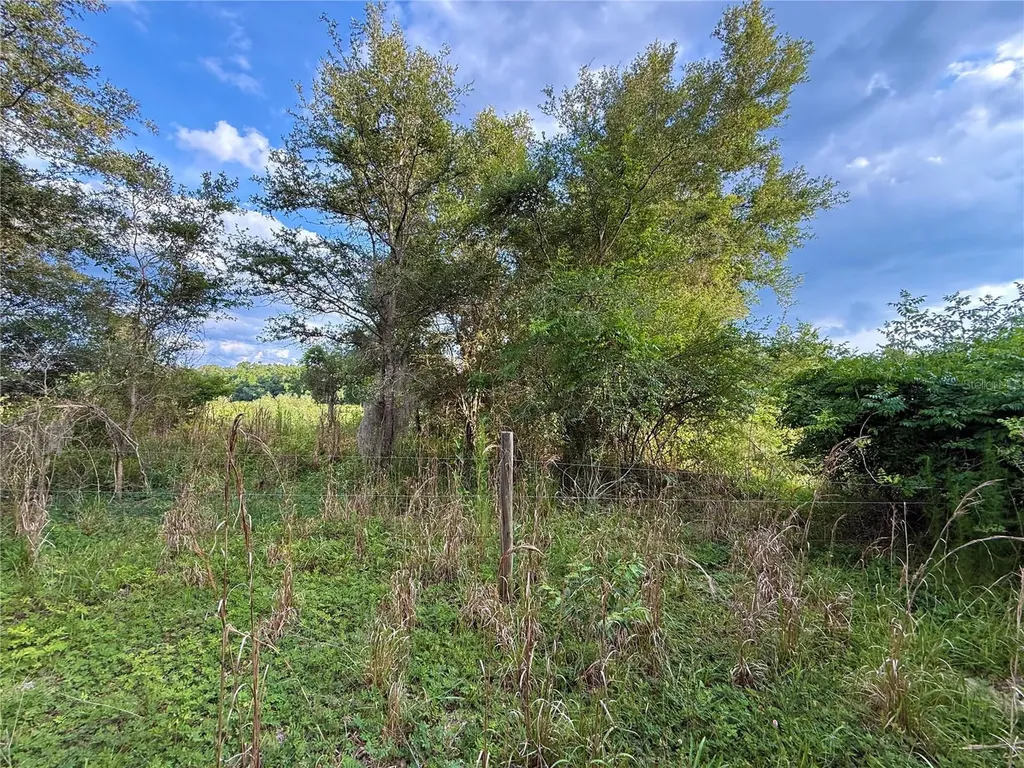 000 NW 68 Terrace Chiefland FL 32626