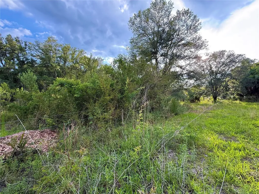 000 NW 68 Terrace Chiefland FL 32626