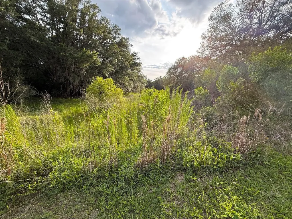 000 NW 68 Terrace Chiefland FL 32626