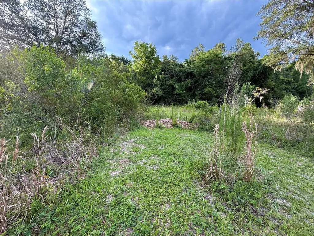 000 NW 68 Terrace Chiefland FL 32626
