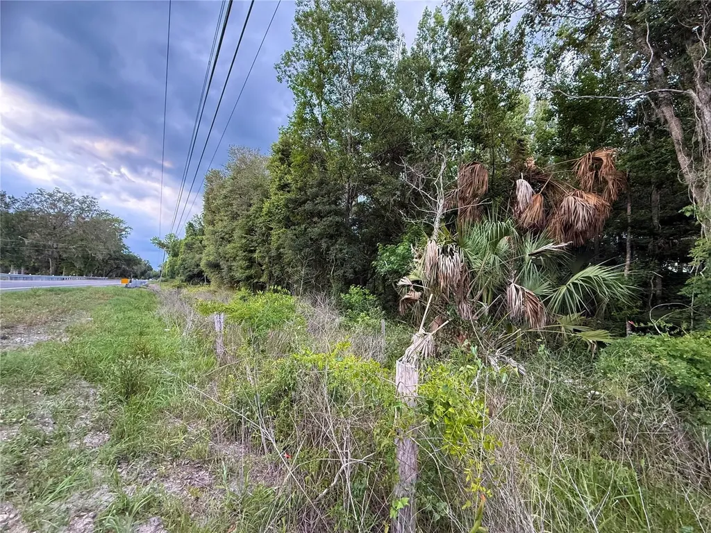 000 NW 68 Terrace Chiefland FL 32626