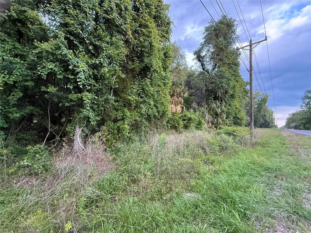 000 NW 68 Terrace Chiefland FL 32626
