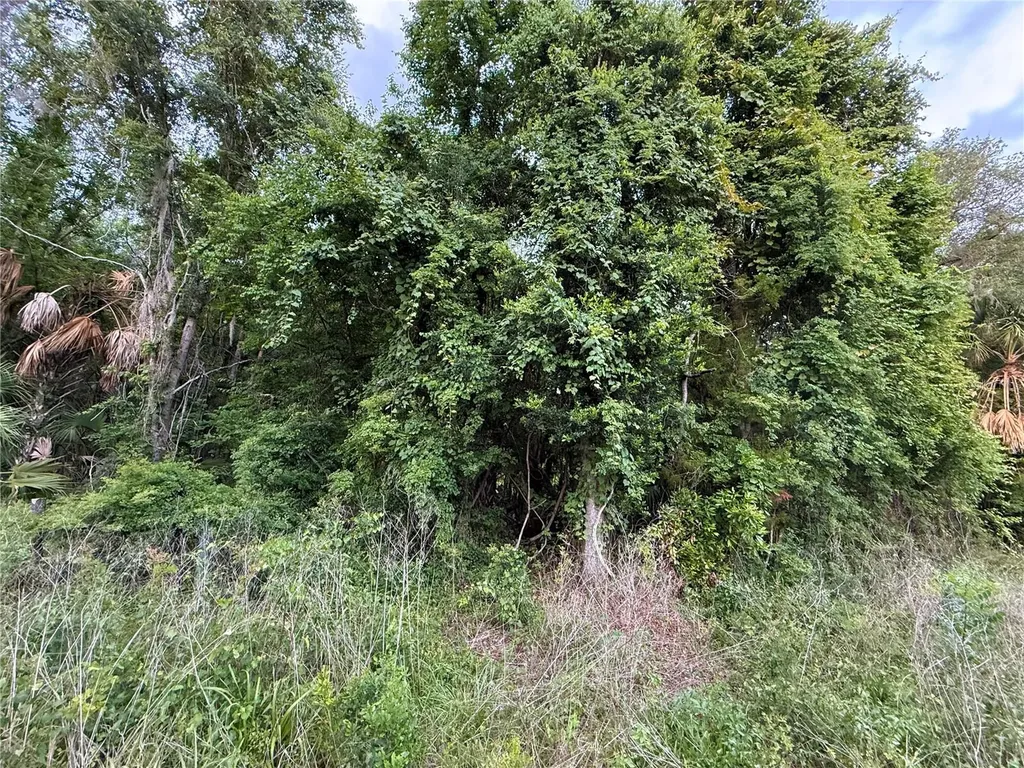 000 NW 68 Terrace Chiefland FL 32626
