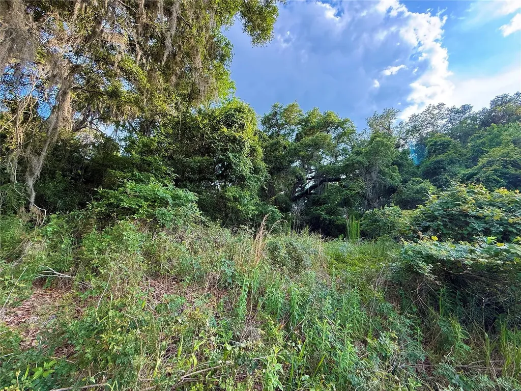 000 NW 68 Terrace Chiefland FL 32626