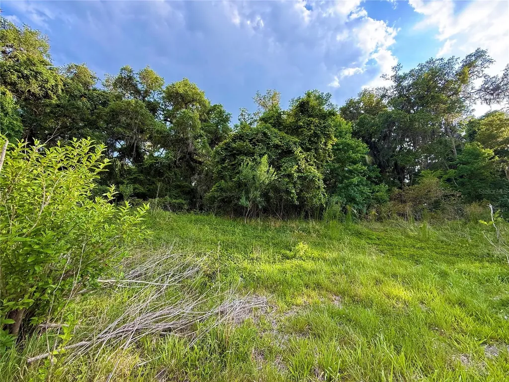 000 NW 68 Terrace Chiefland FL 32626