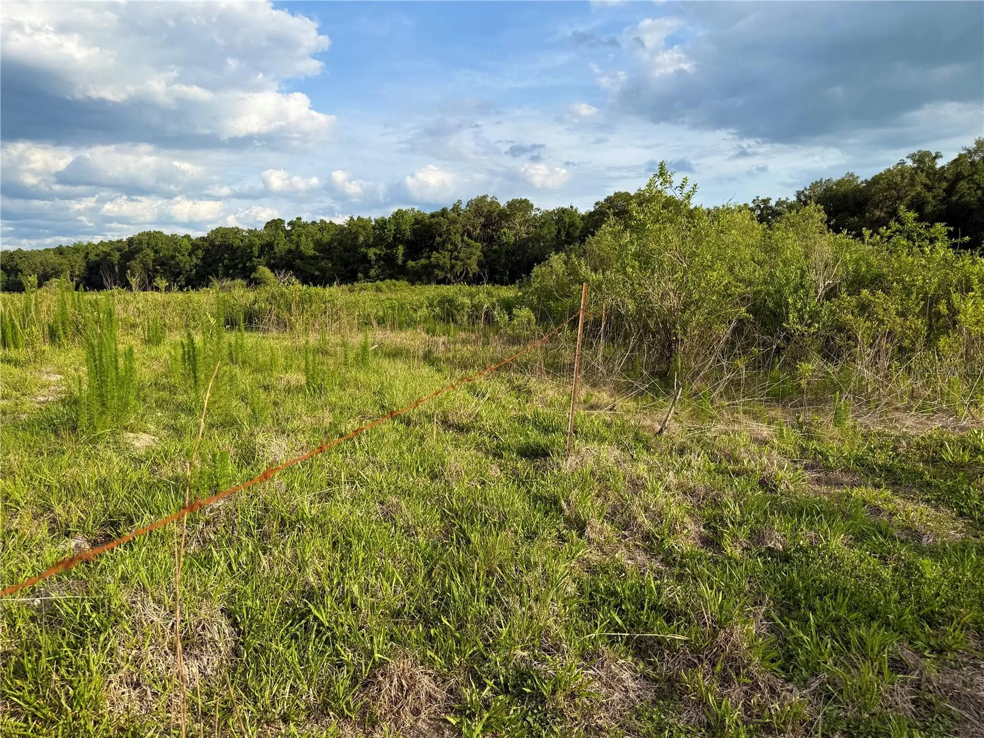 000 NW 68 Terrace Chiefland FL 32626