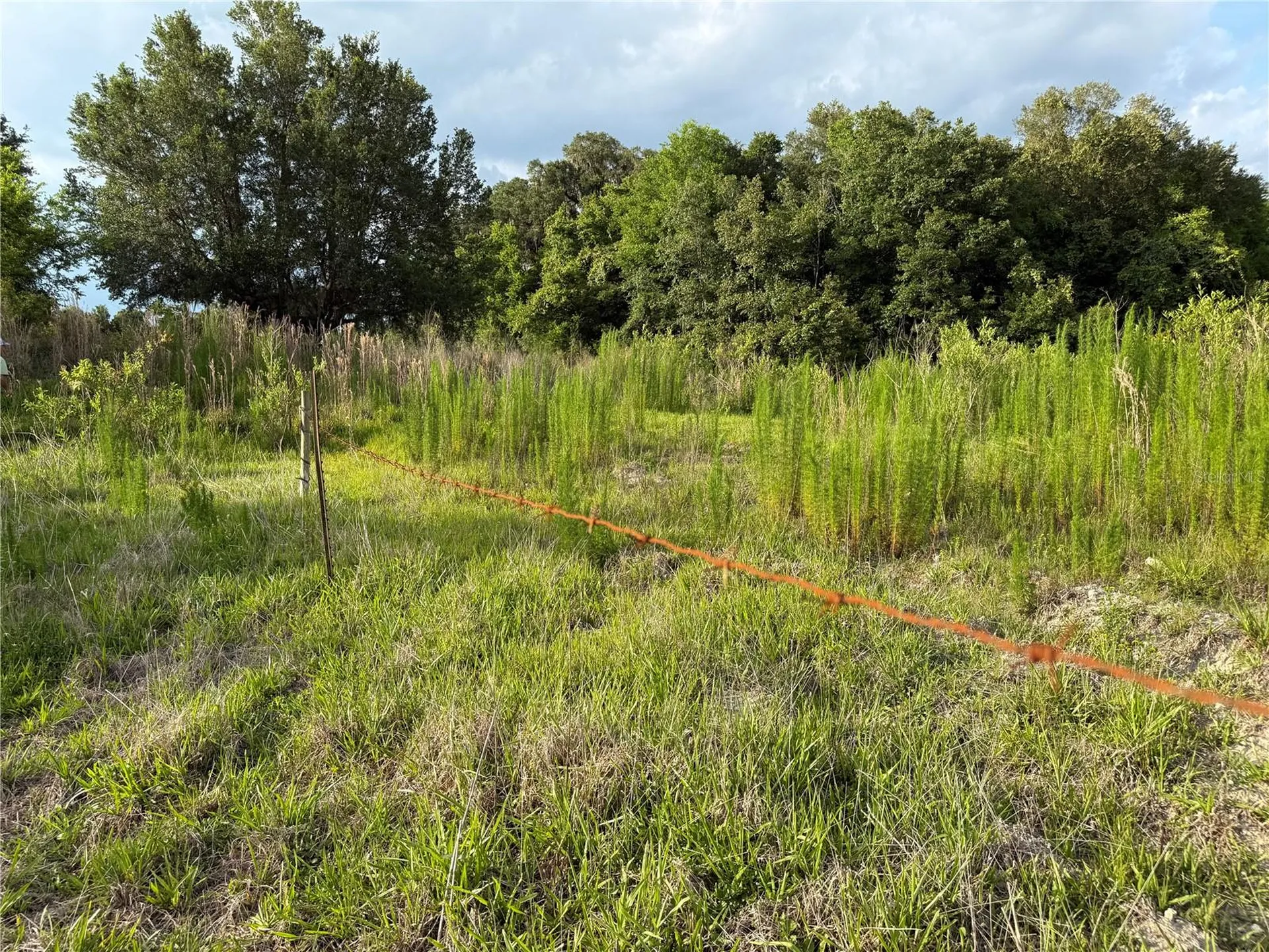 000 NW 68 Terrace Chiefland FL 32626