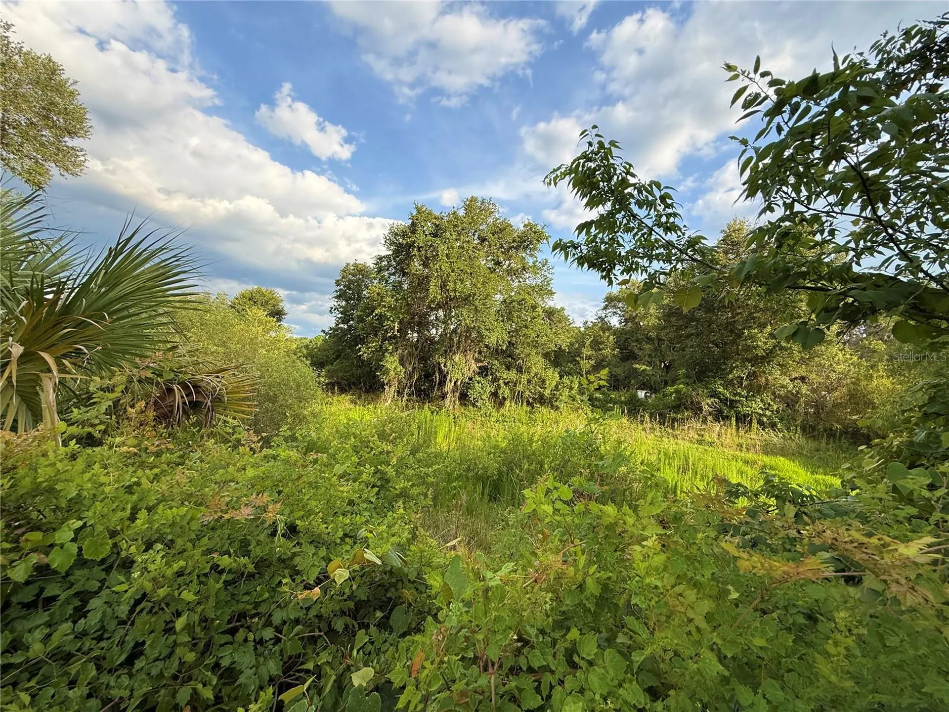 000 NW 68 Terrace Chiefland FL 32626
