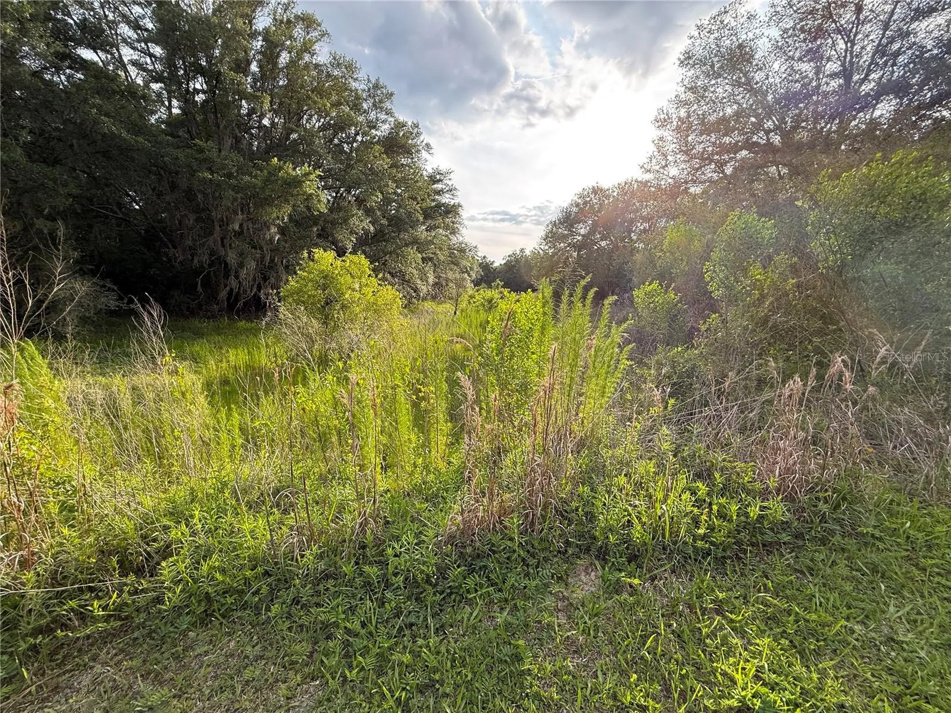 000 NW 68 Terrace Chiefland FL 32626