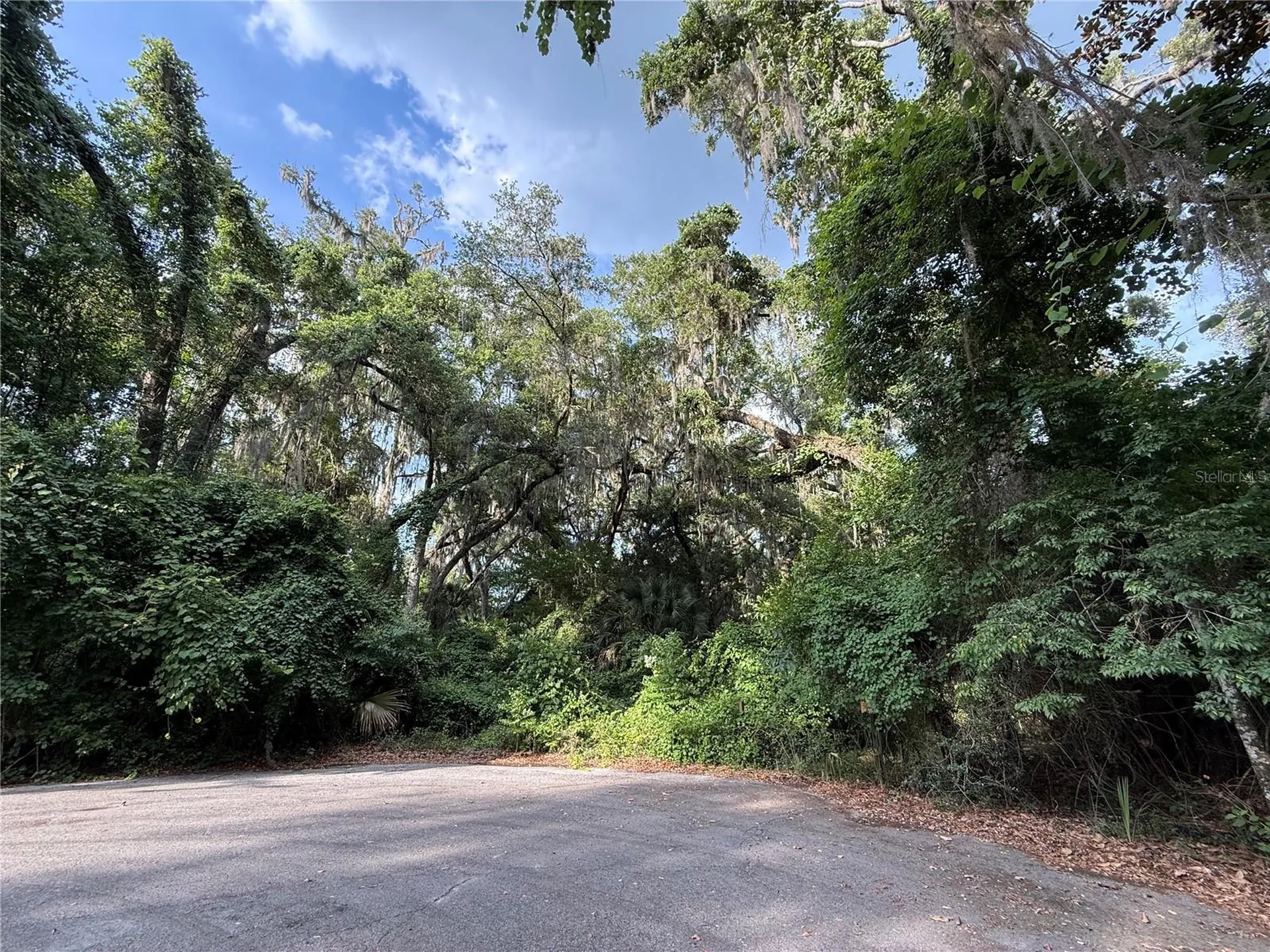 000 NW 68 Terrace Chiefland FL 32626