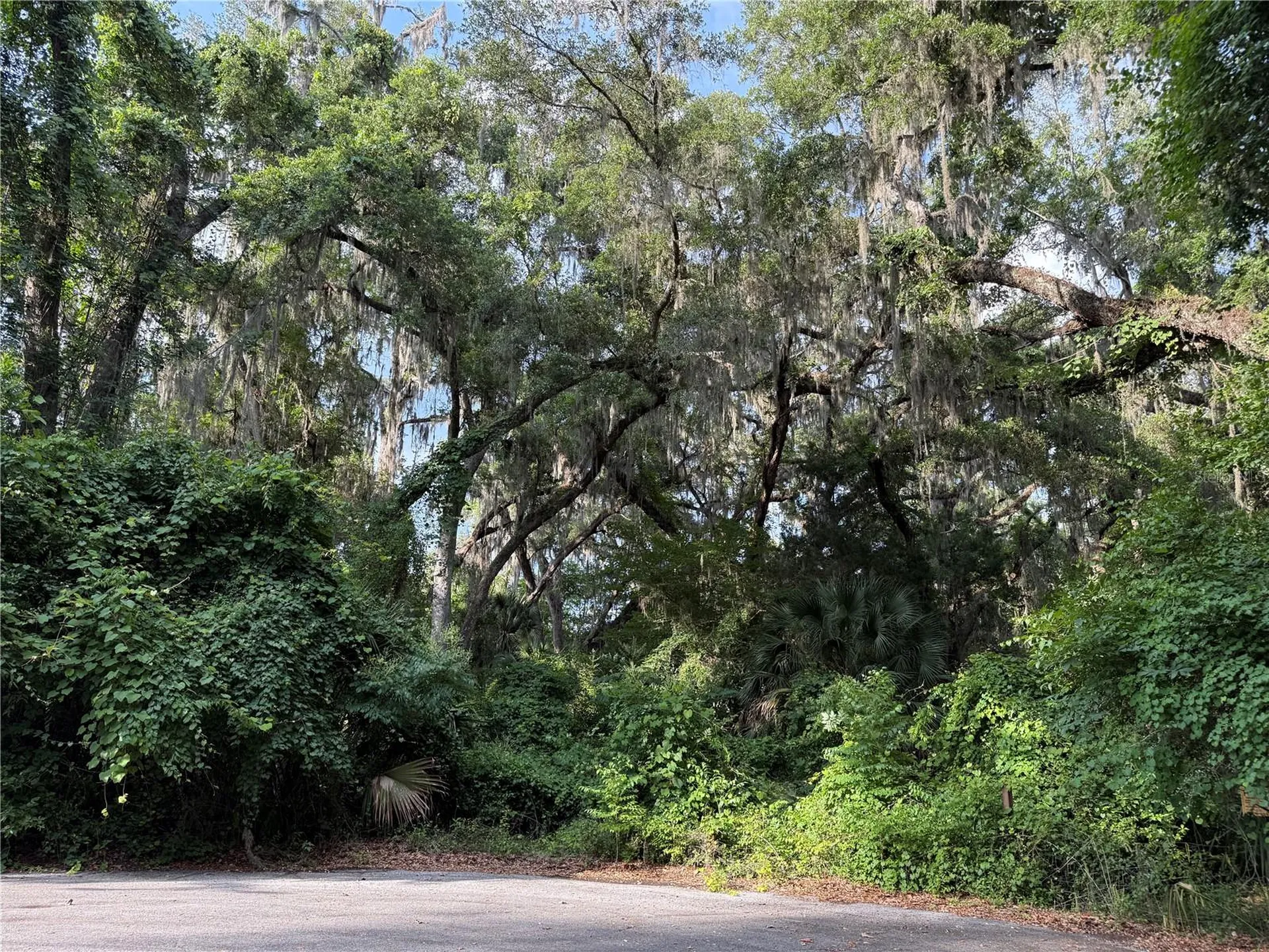 000 NW 68 Terrace Chiefland FL 32626