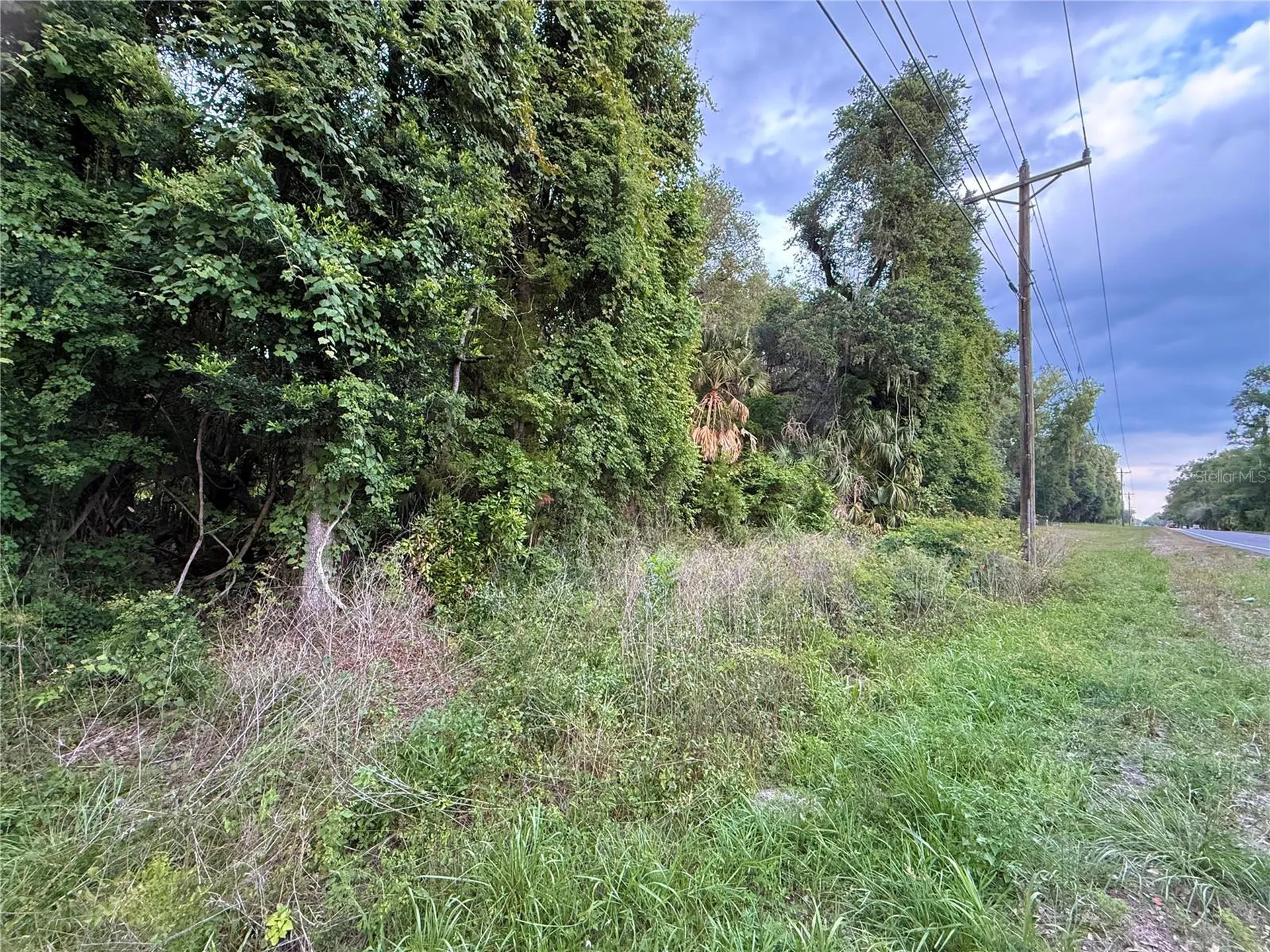 000 NW 68 Terrace Chiefland FL 32626