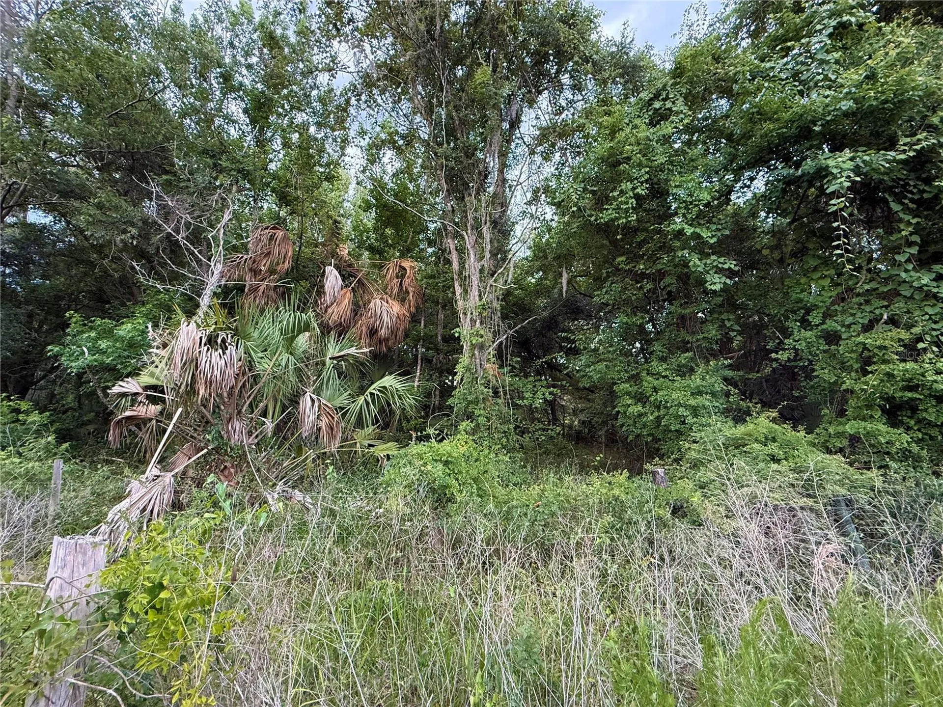 000 NW 68 Terrace Chiefland FL 32626